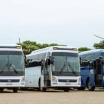 Three Hyundai buses parked in an outdoor parking lot on a clear day.