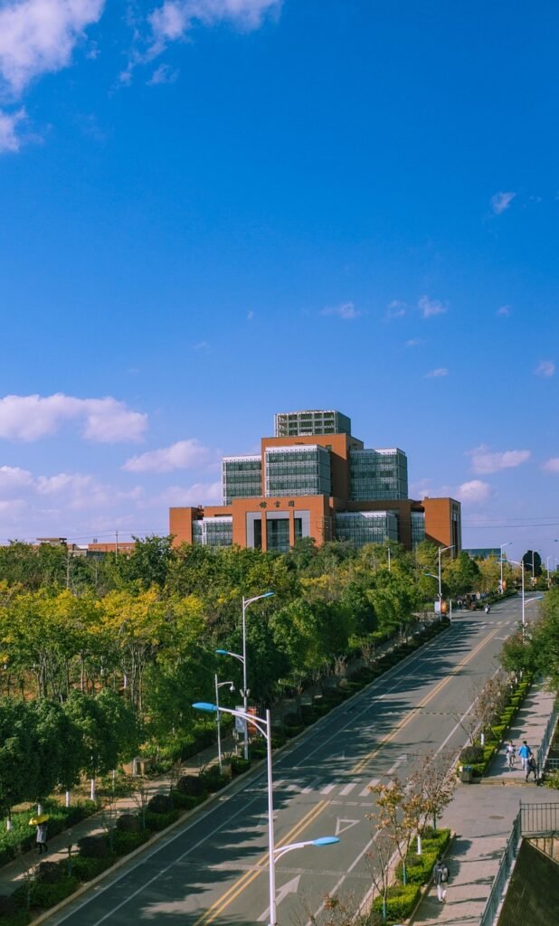 road, highway, city