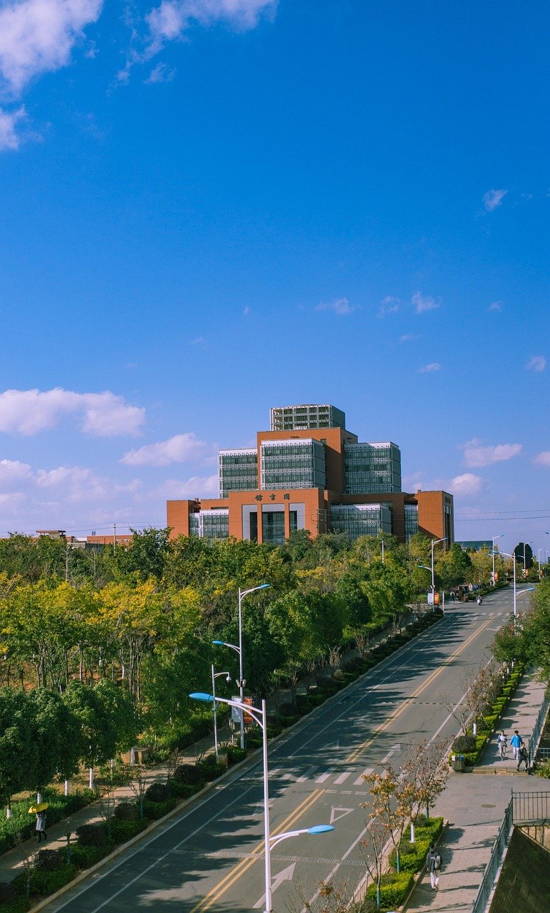 road, highway, city
