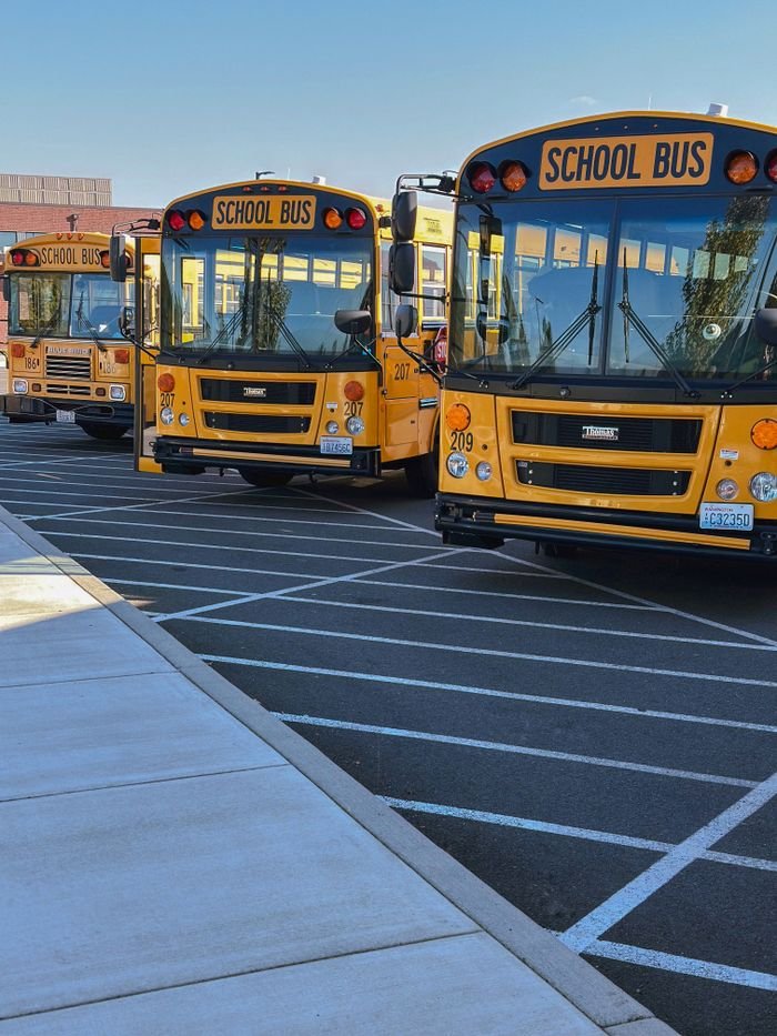 Service Fleets Multiple yellow school buses stationary in a parking lot under a clear sky.